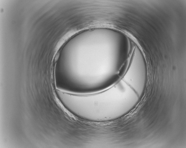 X0000058821005200509300910