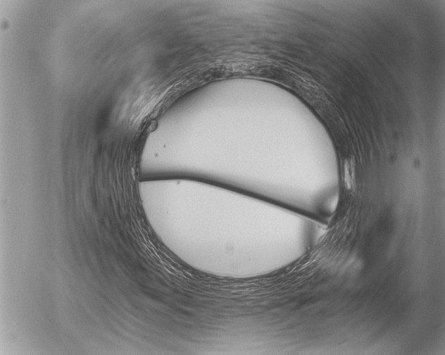 X0000058821155200509300908