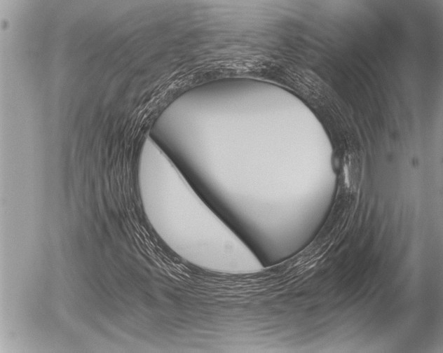 X0000058821347200509300905