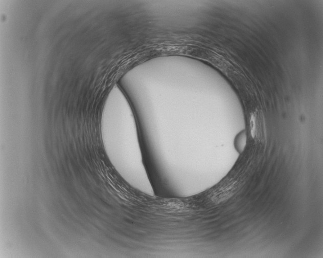 X0000058821395200509300903