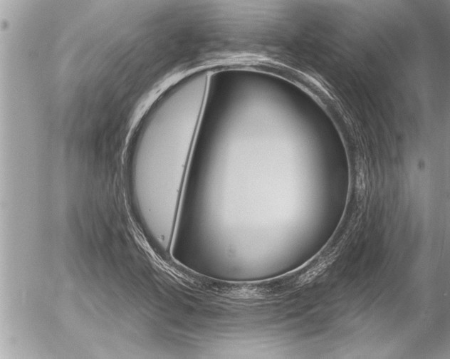 X0000058821414200509300904