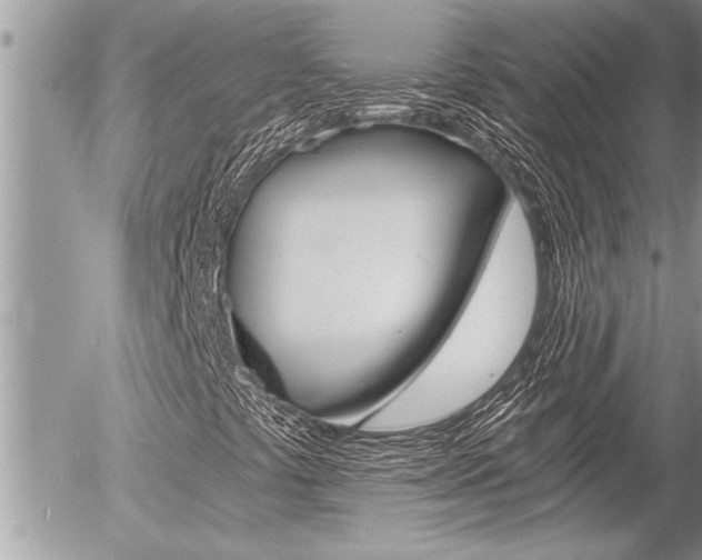 X0000058821441200509300903