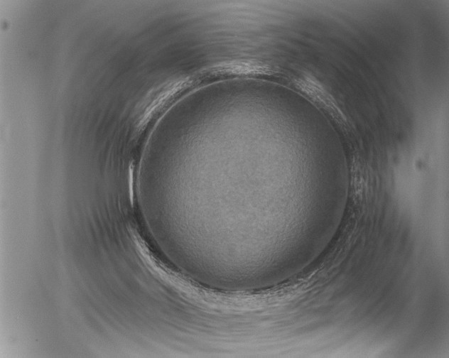 X0000058820014200509301206