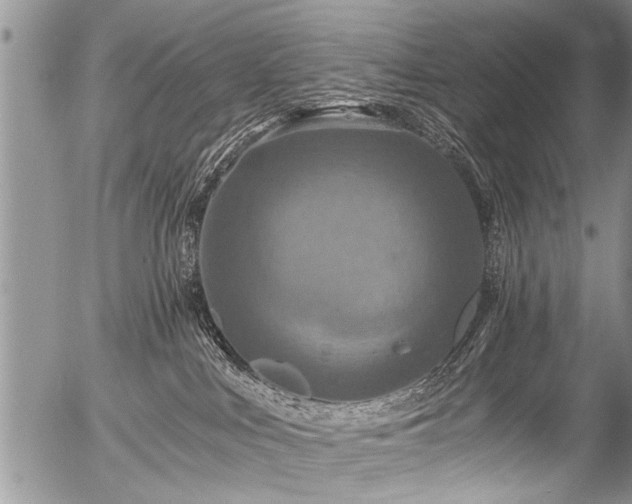 X0000058820043200509301206