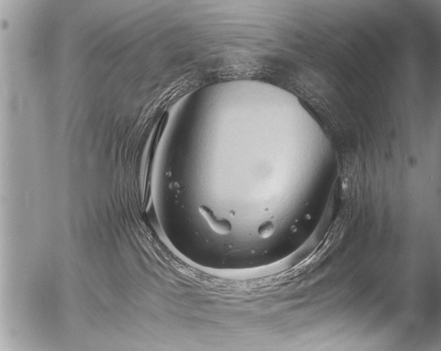X0000058820045200509301206