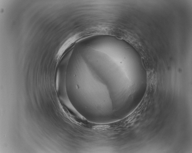 X0000058820051200509301205