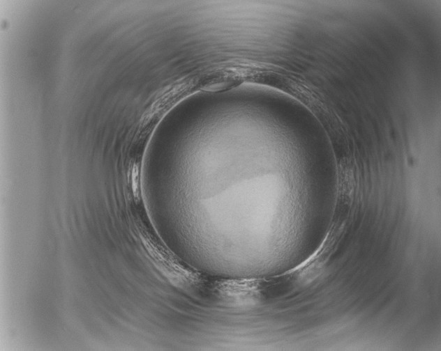X0000058820094200509301206