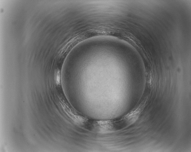 X0000058820095200509301206