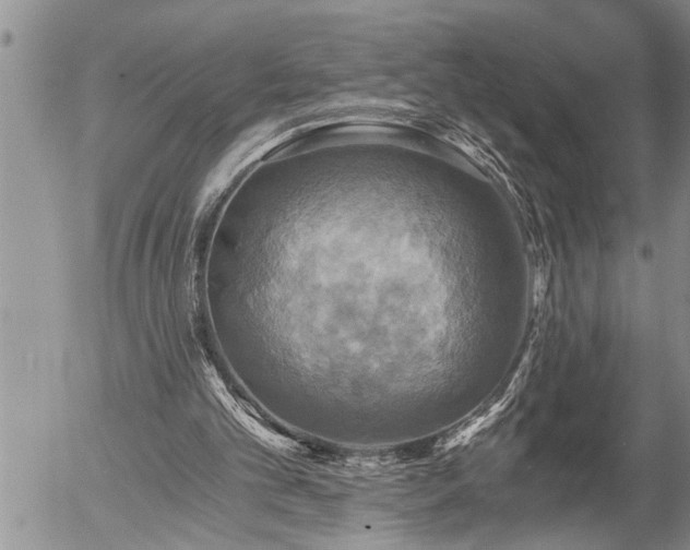 X0000058820101200509301205