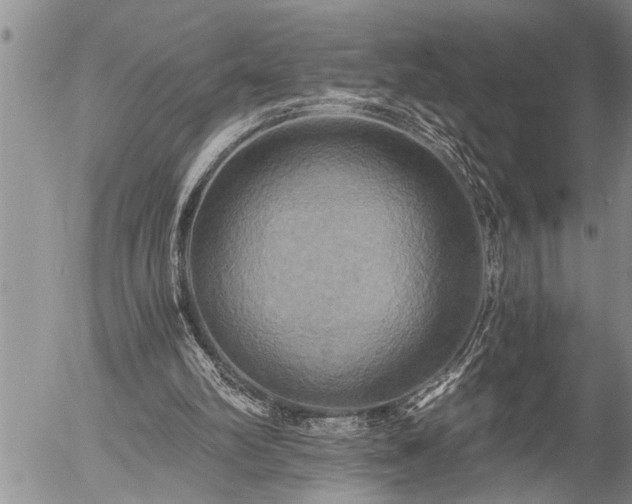 X0000058820102200509301205