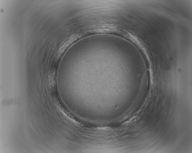 X0000058820105200509301205