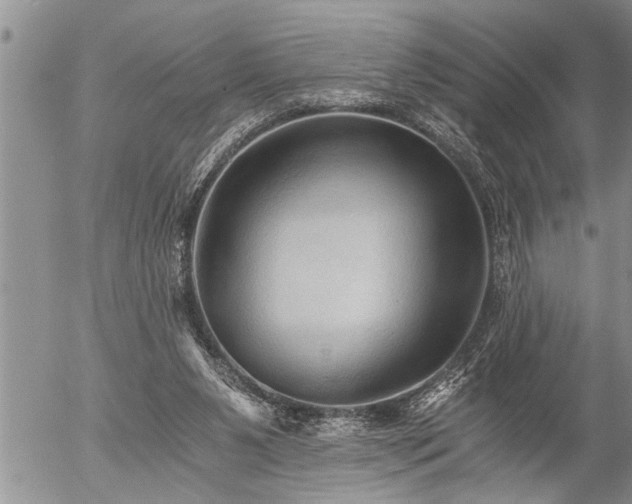X0000058820111200509301205
