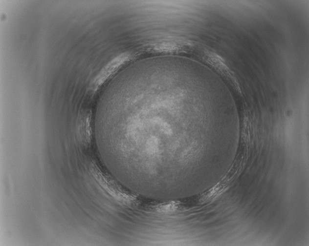 X0000058820116200509301204