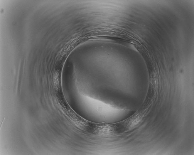 X0000058820127200509301204