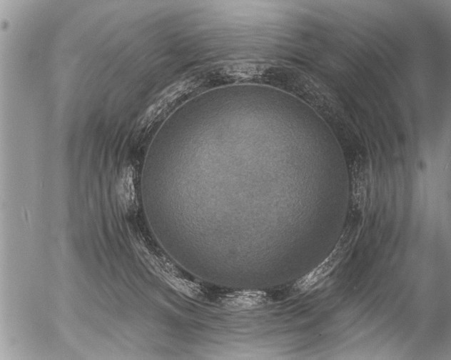 X0000058820128200509301204