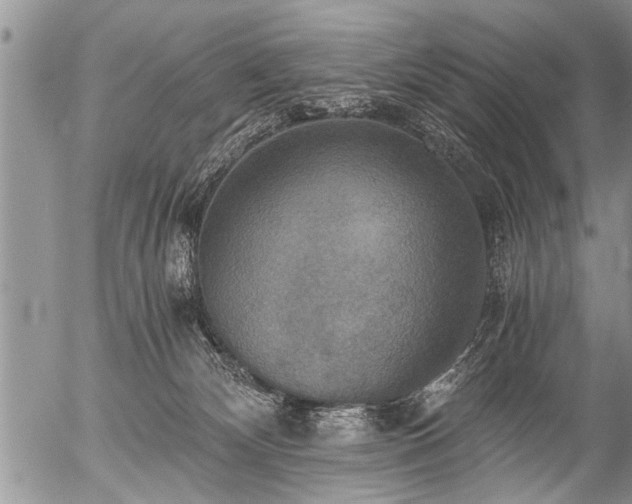 X0000058820132200509301204