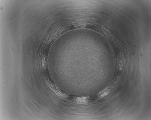 X0000058820134200509301204
