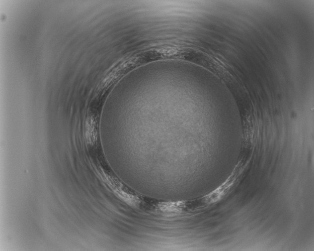 X0000058820136200509301204