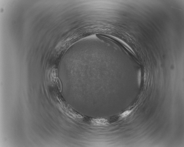 X0000058820137200509301204