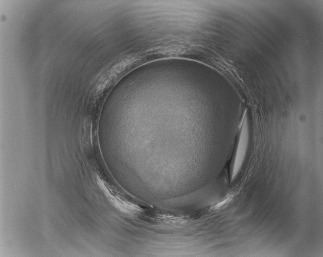 X0000058820205200509301203