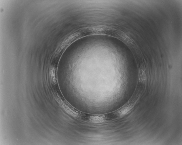 X0000058820238200509301202