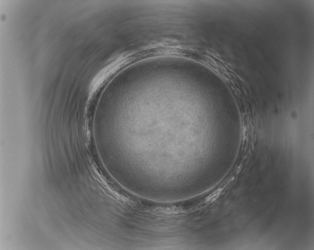 X0000058820245200509301202