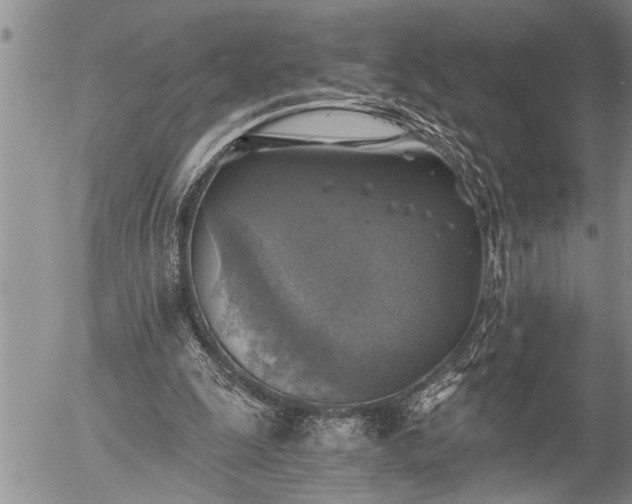 X0000058820247200509301202