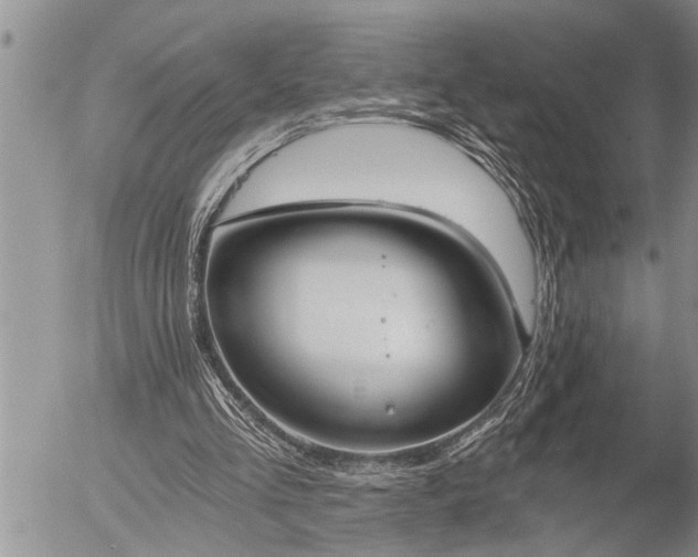 X0000058820293200509301201