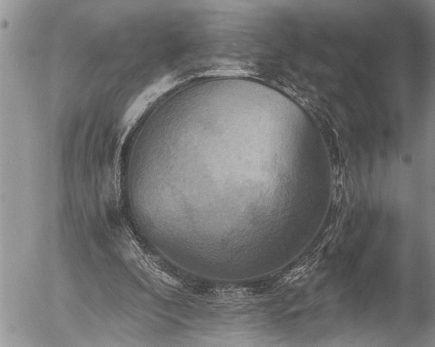X0000058820296200509301201