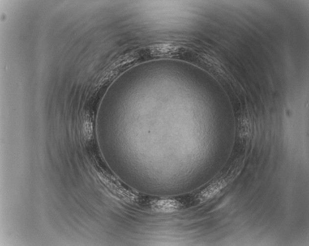 X0000058820324200509301201