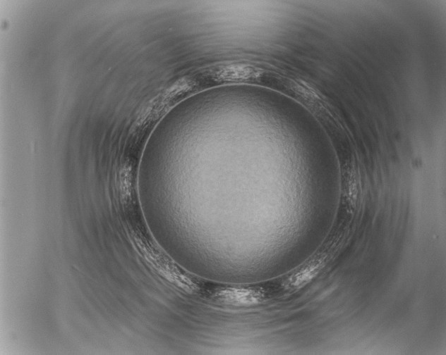X0000058820326200509301201