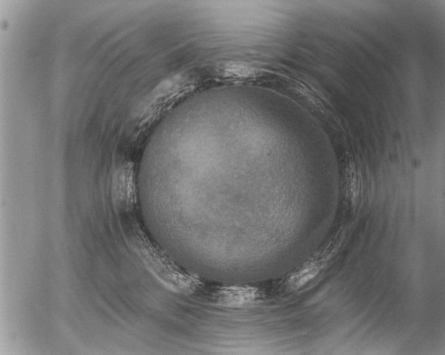X0000058820328200509301201