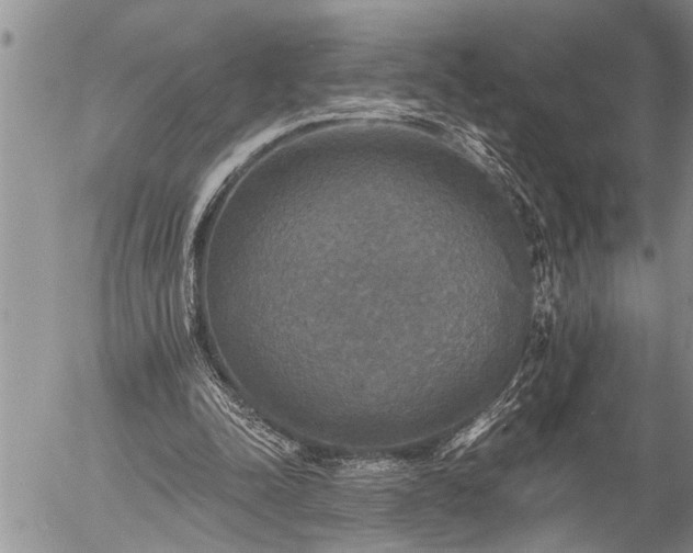 X0000058820342200509301200
