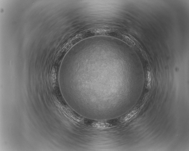 X0000058820372200509301201