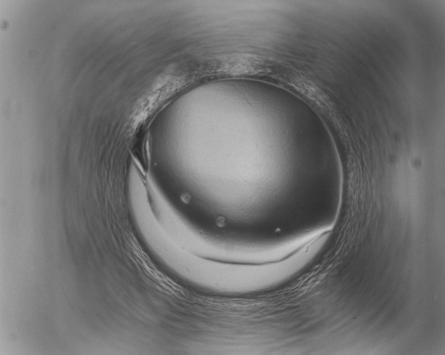 X0000058820393200509301200