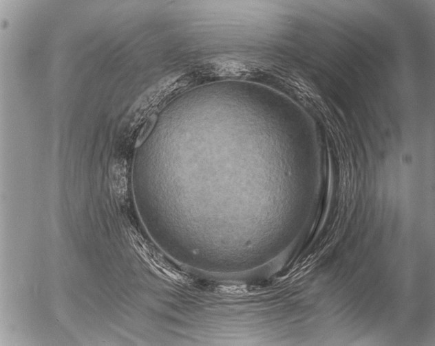 X0000058820413200509301159