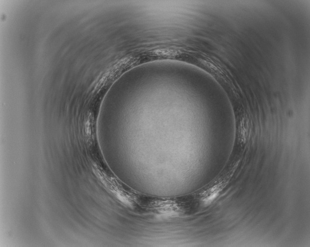 X0000058820424200509301159