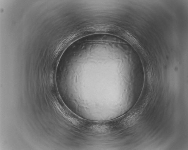 X0000058820537200509301157
