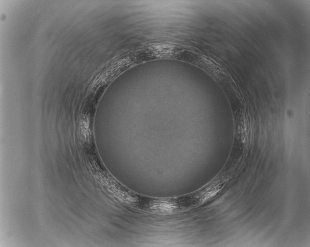 X0000058820610200509301156
