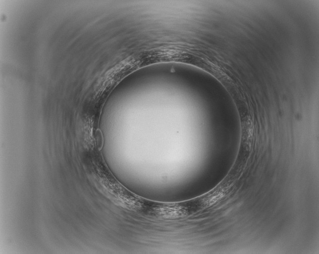 X0000058820615200509301156