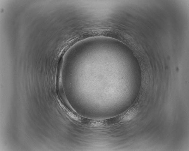 X0000058820624200509301156