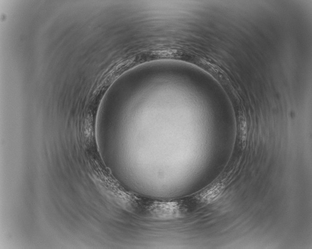 X0000058820665200509301156
