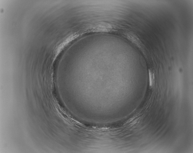 X0000058820675200509301155