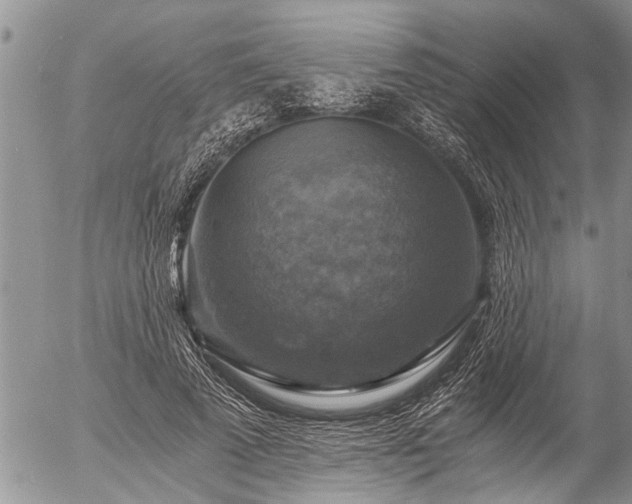 X0000058820689200509301155