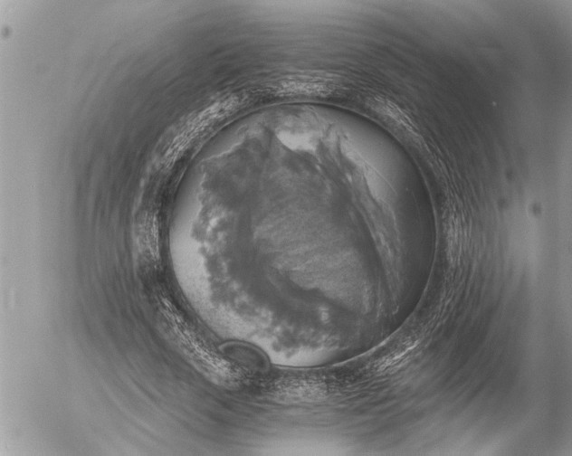 X0000058820729200509301154