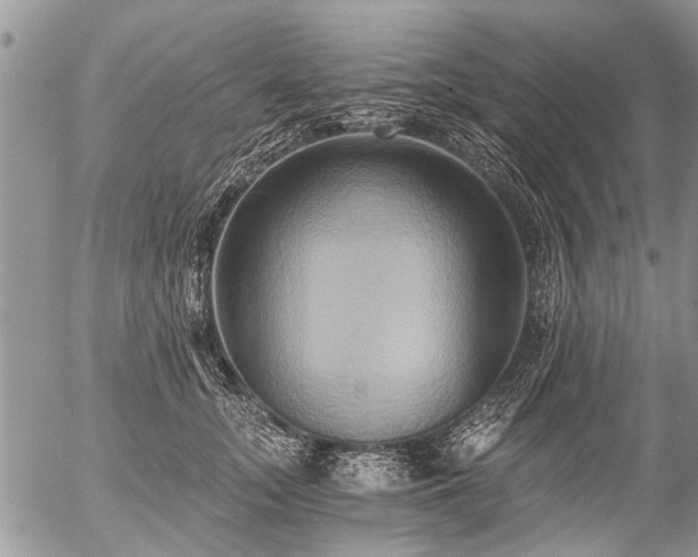 X0000058820755200509301154