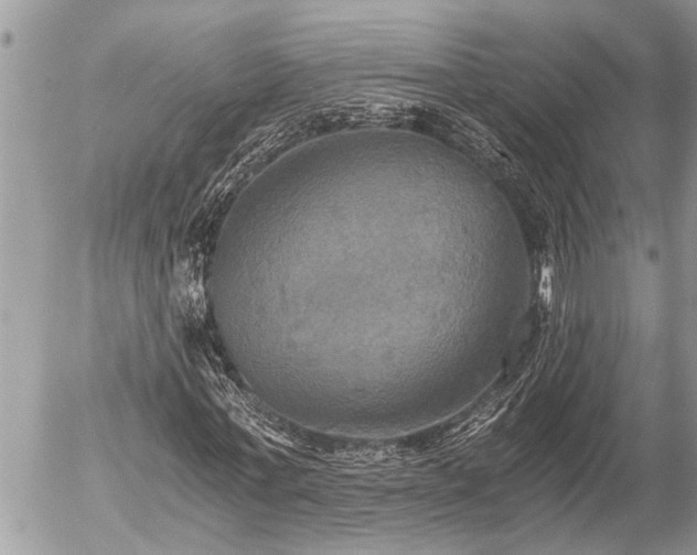 X0000058820771200509301153