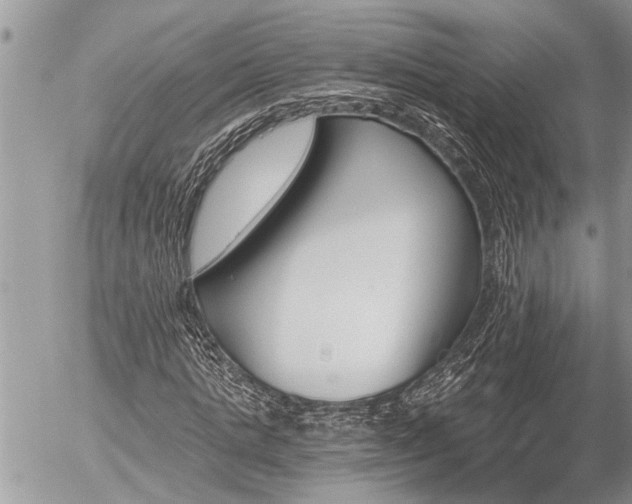 X0000058820821200509301152