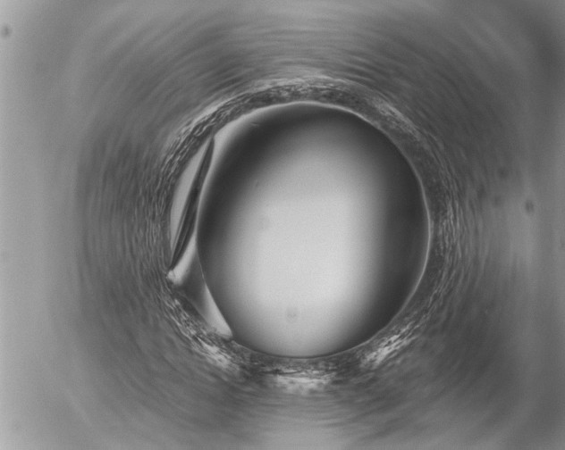 X0000058820822200509301152