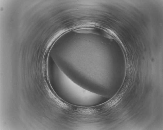 X0000058820851200509301152